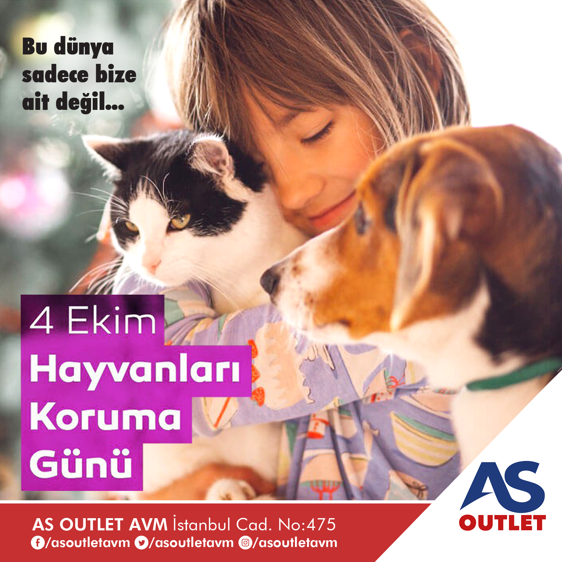 4 EKİM HAYVANLARI KORUMA GÜNÜ